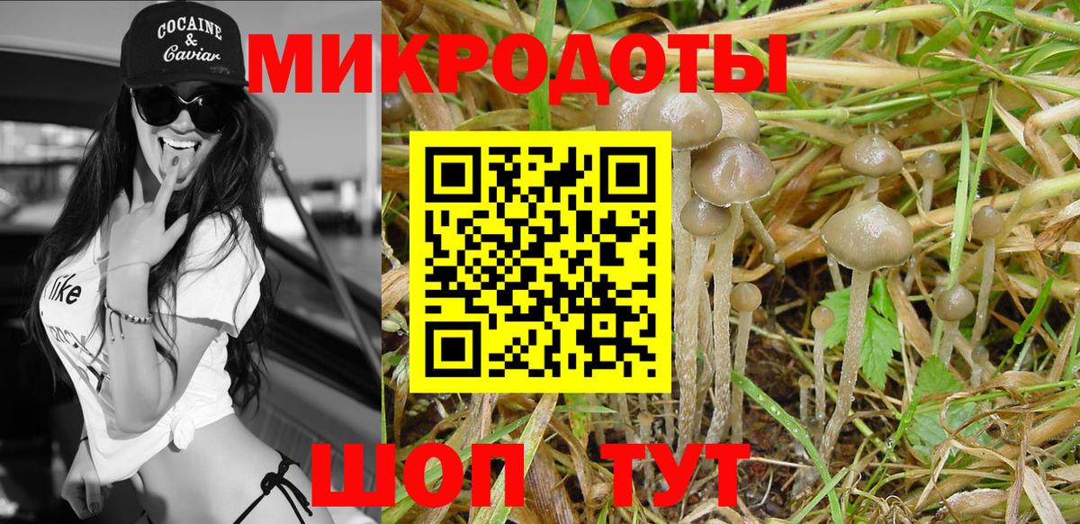 Псилоцибиновые грибы Cubensis  Галлюциногенные грибы Cubensis  Вход с VPN  Москва 