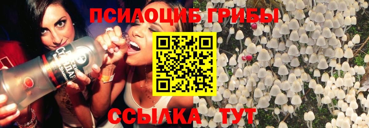 Псилоцибиновые грибы мухоморы Москва